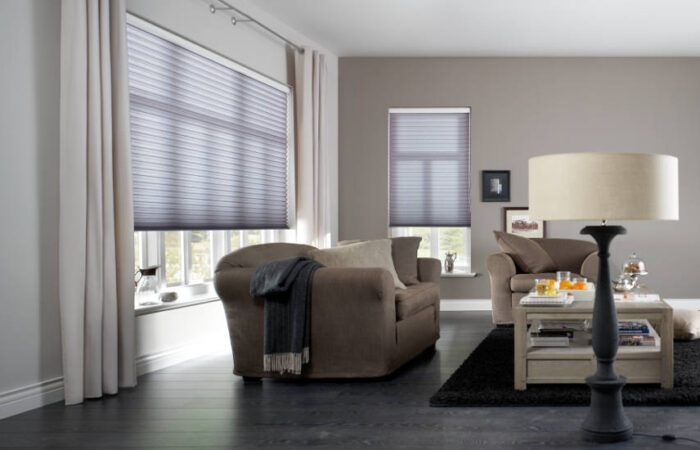 Electric Pleated Blinds Featured Image