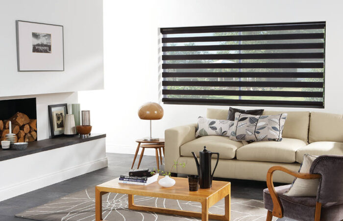 Electric Vision Blinds Featured Image