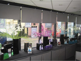 Blinds For Offices