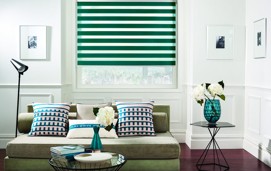 Domestic Vision Blinds