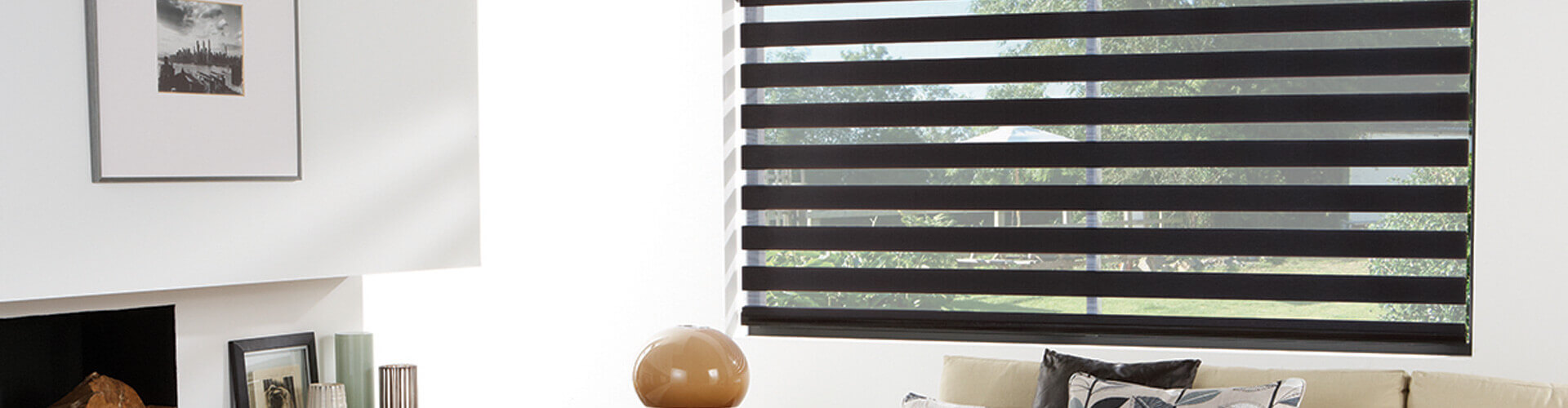 Domestic Vision Blinds